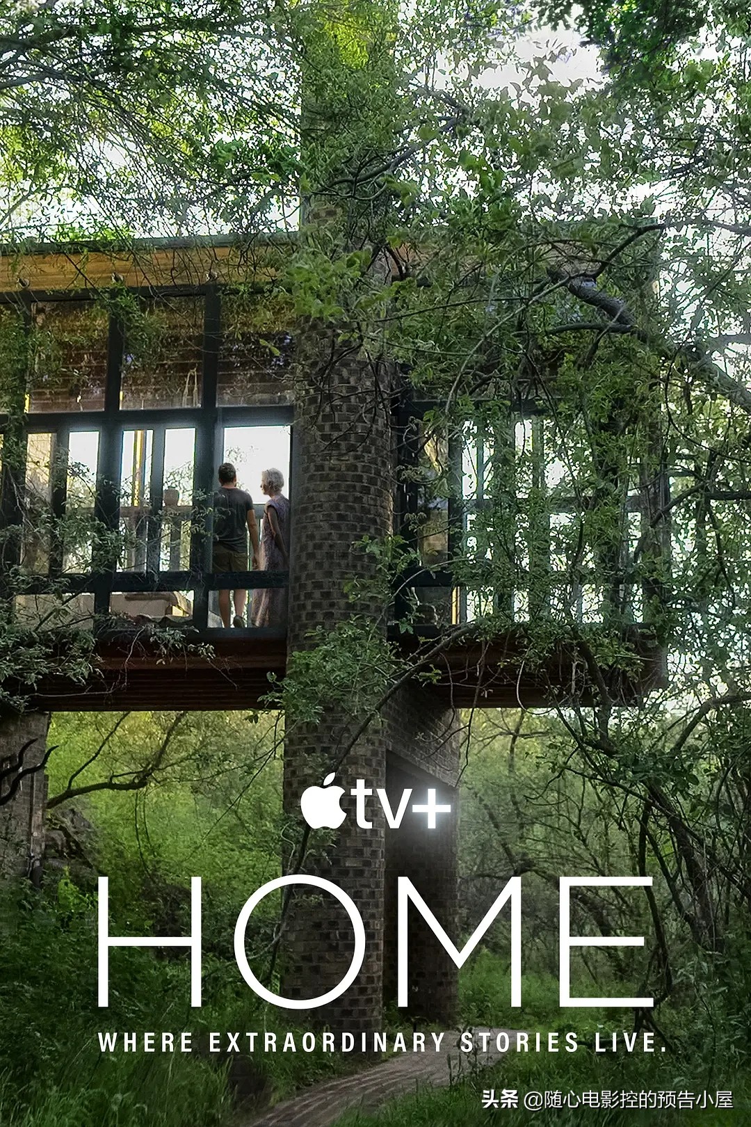 6月24日新片汇总,6月17日上映的电视剧