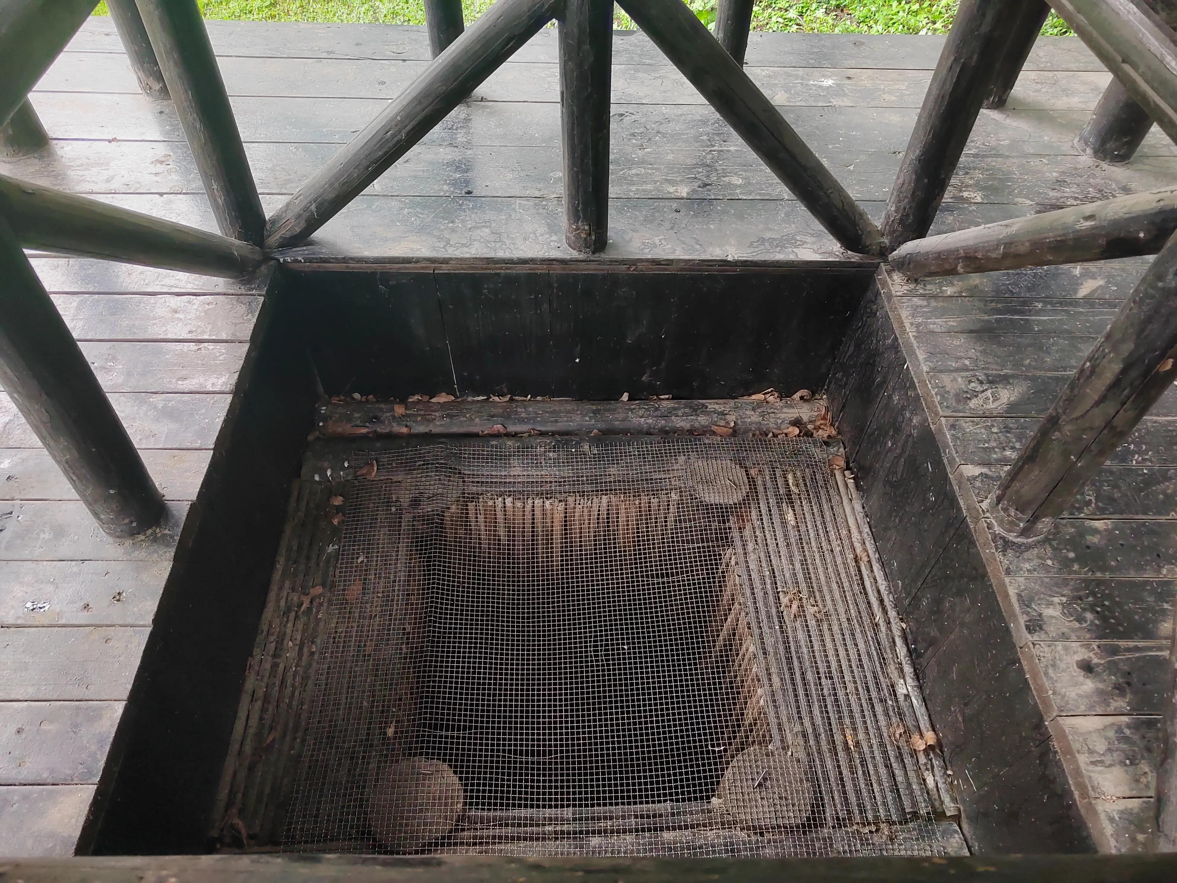 淹城是哪个省市,淹城动物园旅游攻略