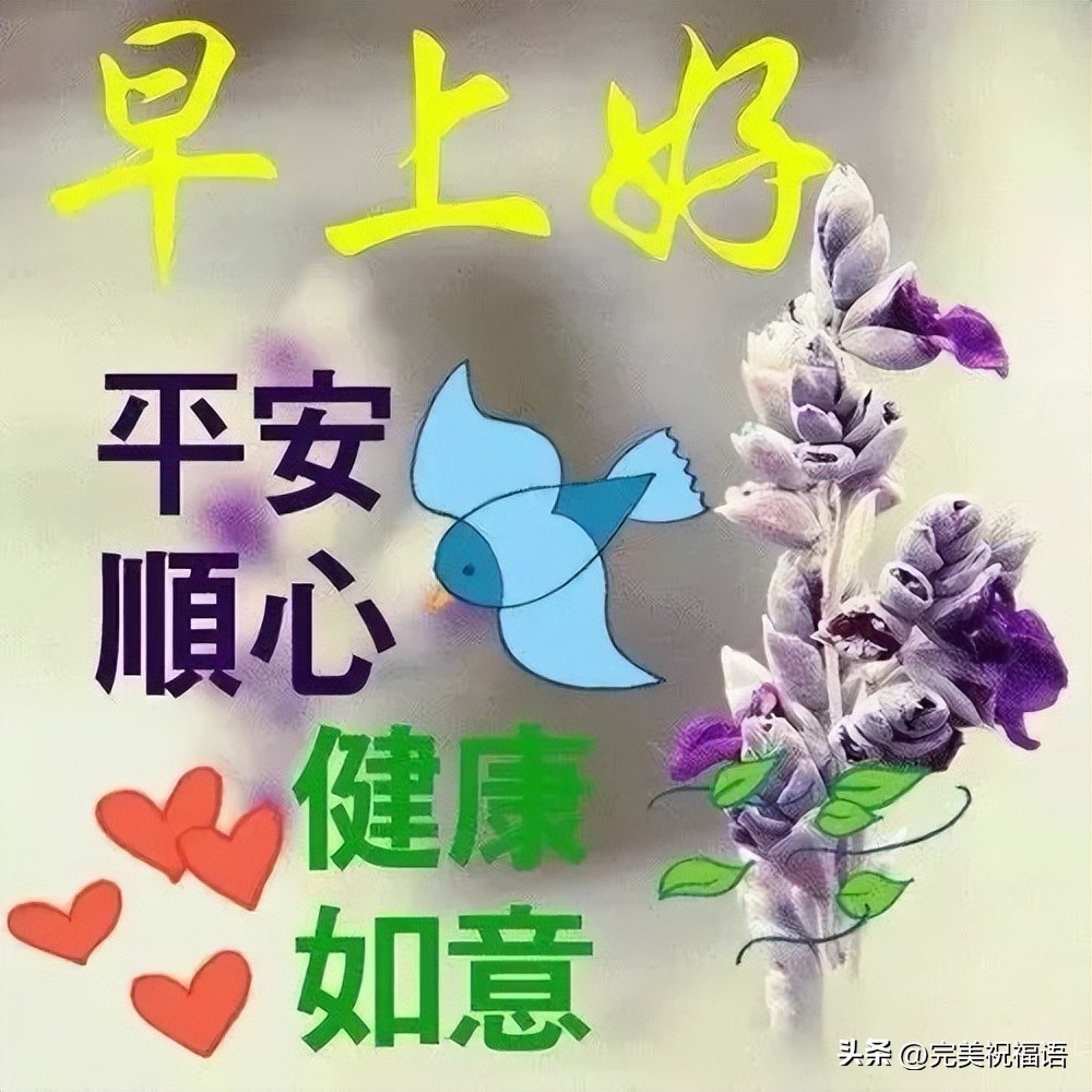 2022年早晨好表情大全,12月22号早上好表情图片大全