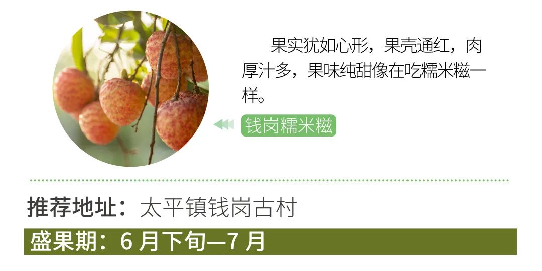 从化摘果攻略,从化摘水果攻略