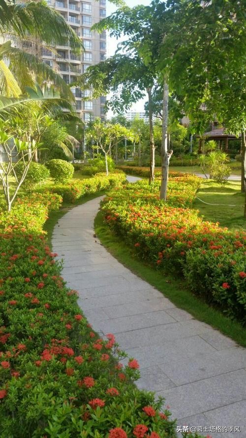 海南三亚过冬住哪里又便宜又好,海南三亚度假过冬