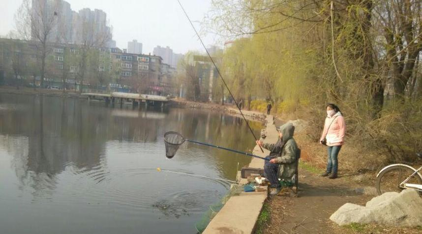 目前哪个的商品饵比较好用,哪款商品饵搭配最好用