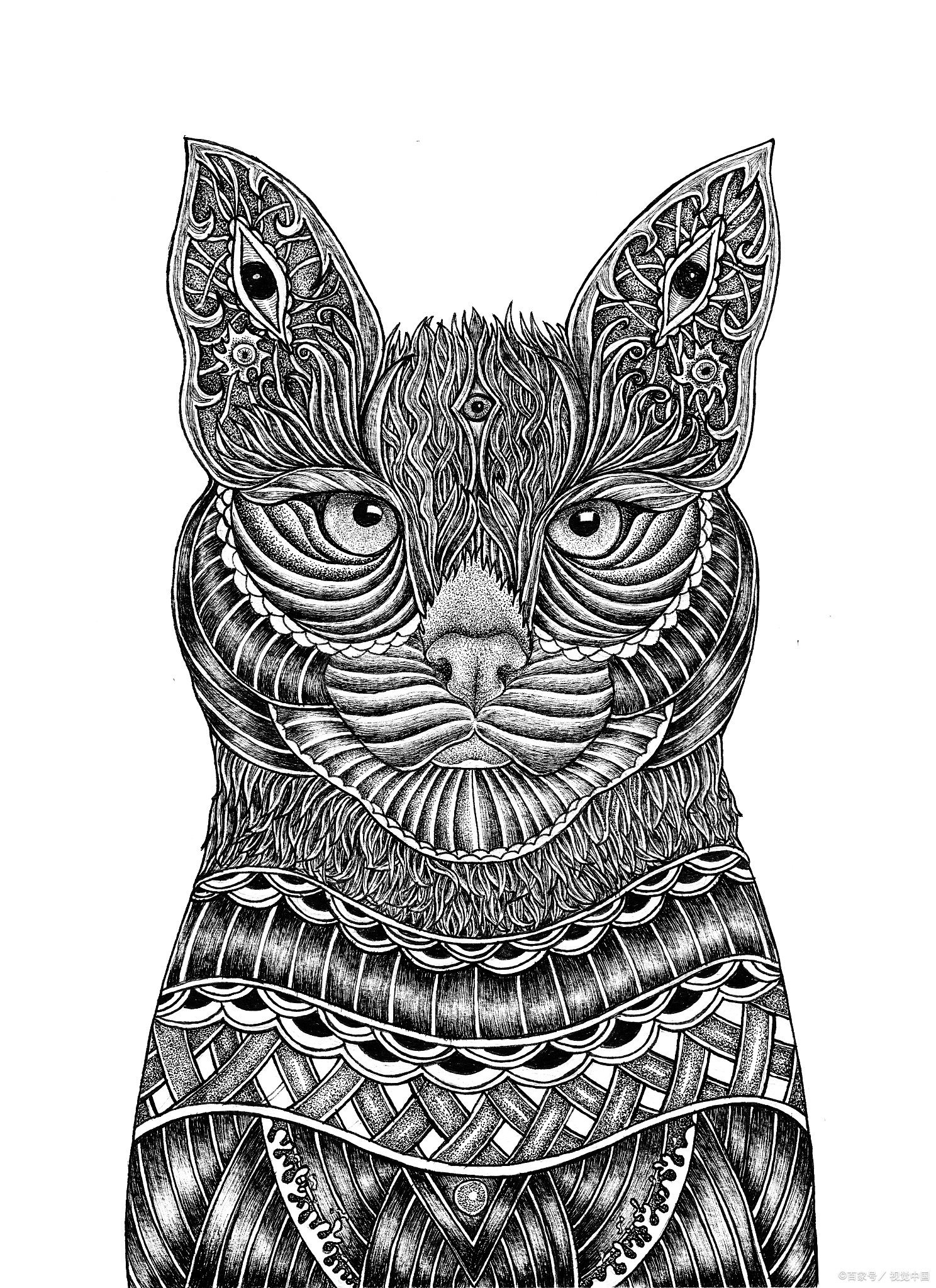 养猫攻略了解猫咪成熟所需时间,新手养猫第一天猫咪害怕怎么办