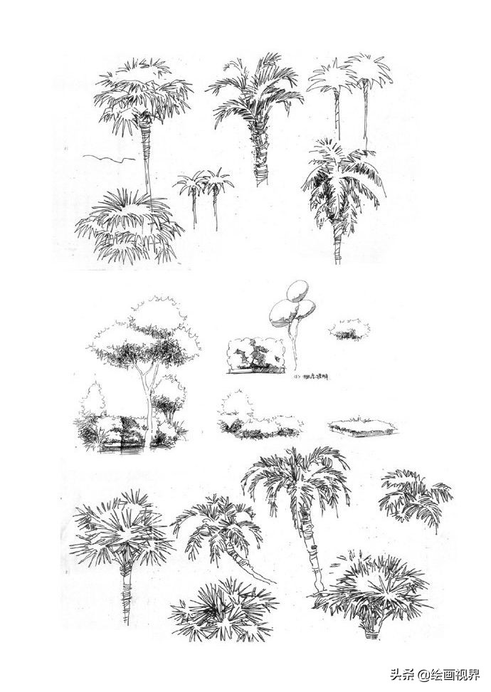 零基础不会画画怎么学当插画师,零基础画不好色彩