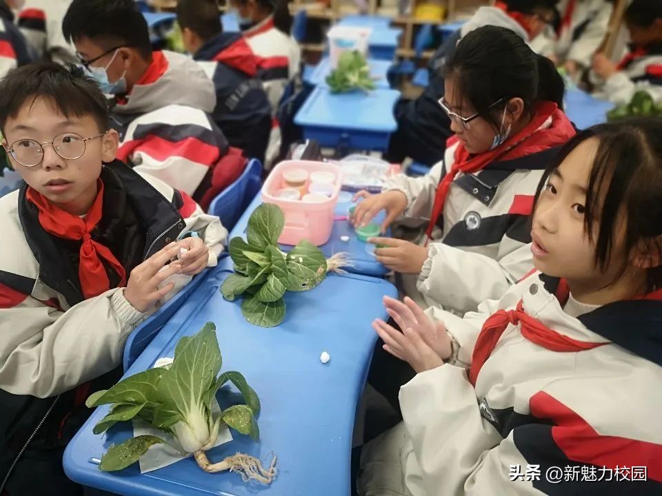 金陵华兴校区,金陵华兴