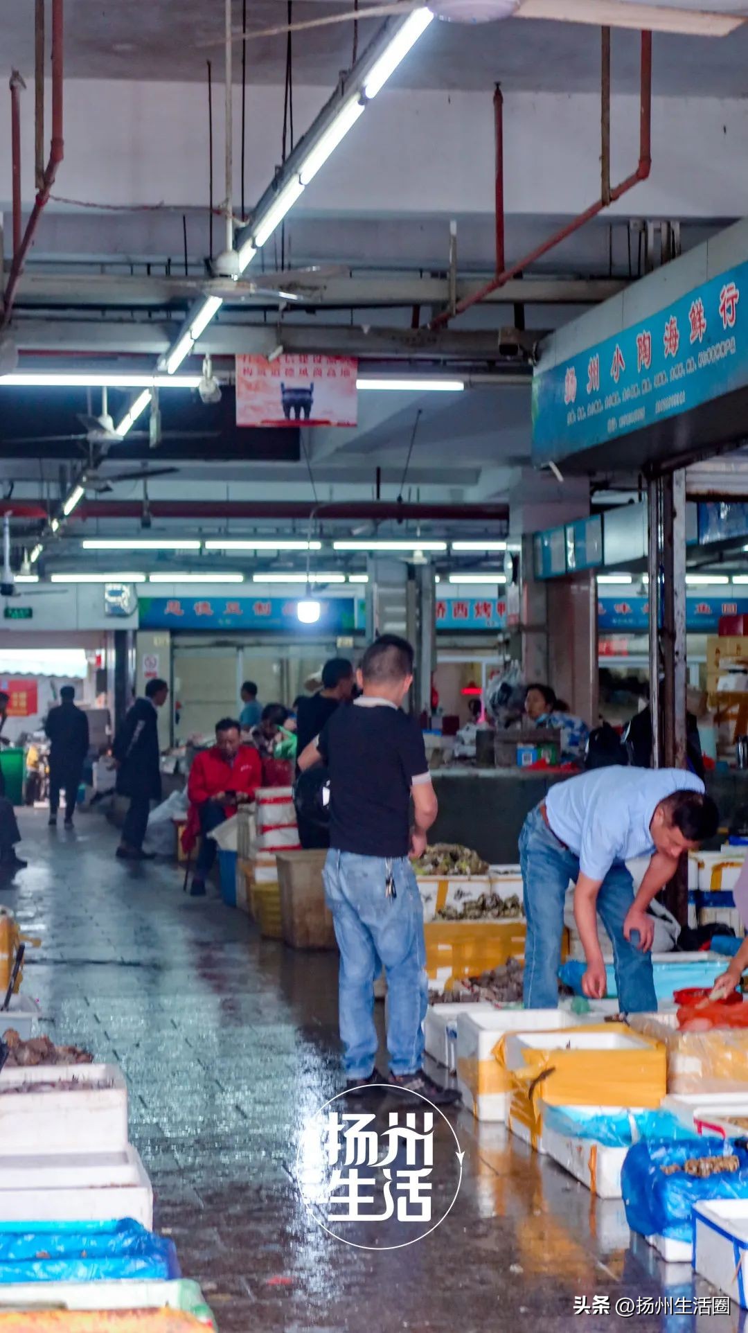 不吃一顿螃蟹，扬州人过不好这个秋天