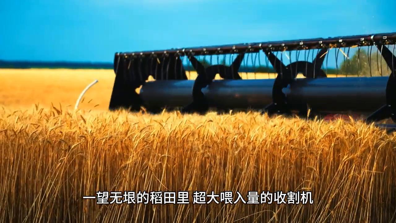 潍柴雷沃和沃得哪个好,沃得农机潍柴雷沃