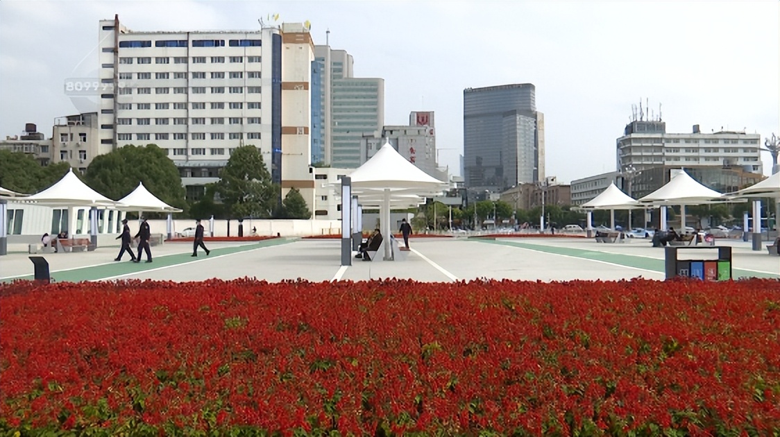 目前有台风来昆明吗,台风梅花受影响的地区