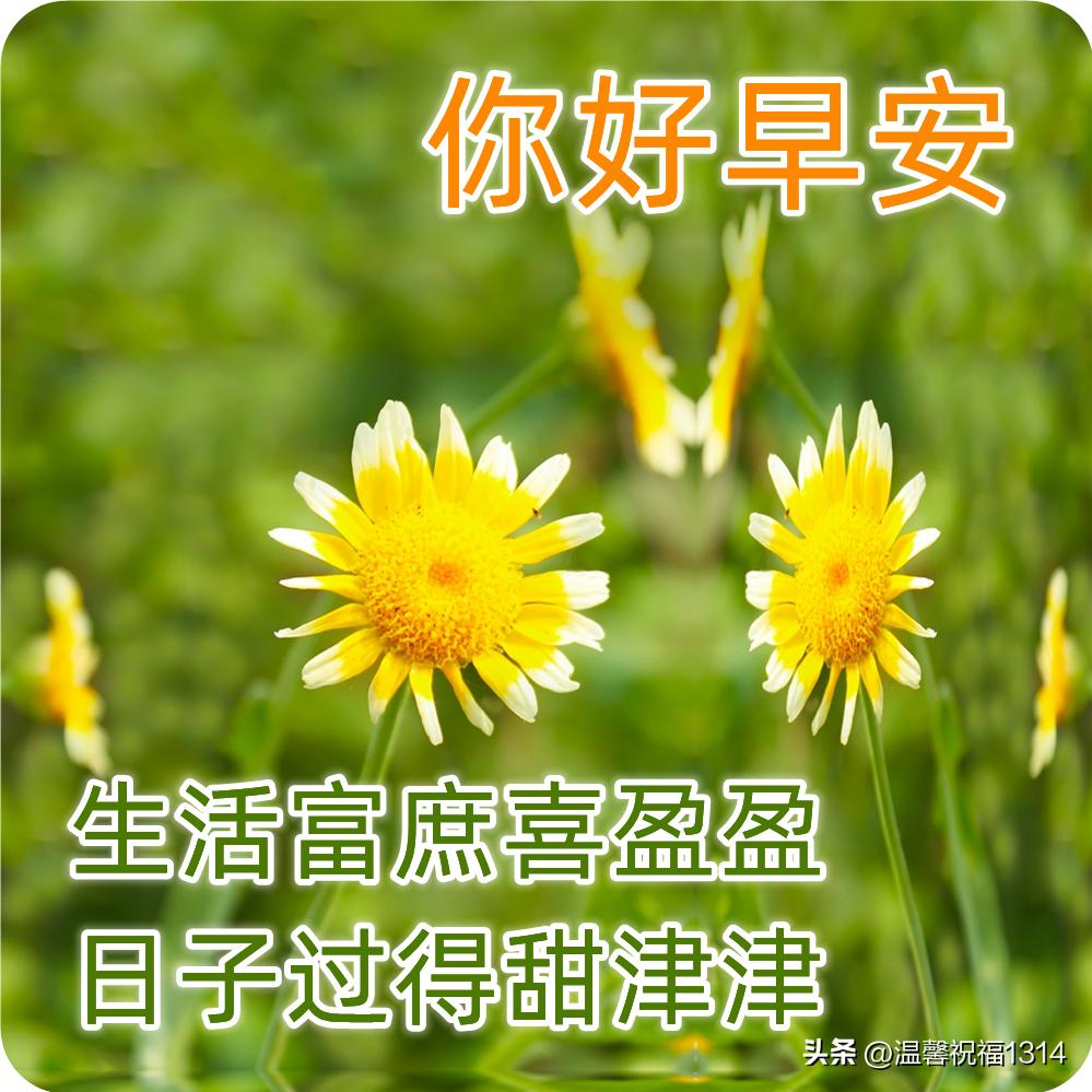 早上好大雪节气的问候暖心图片,今日大雪节气祝福早上好图片