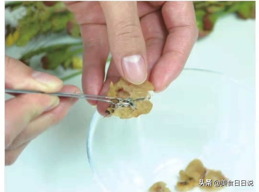 雪蛤做菜,雪蛤怎么做好吃视频教程