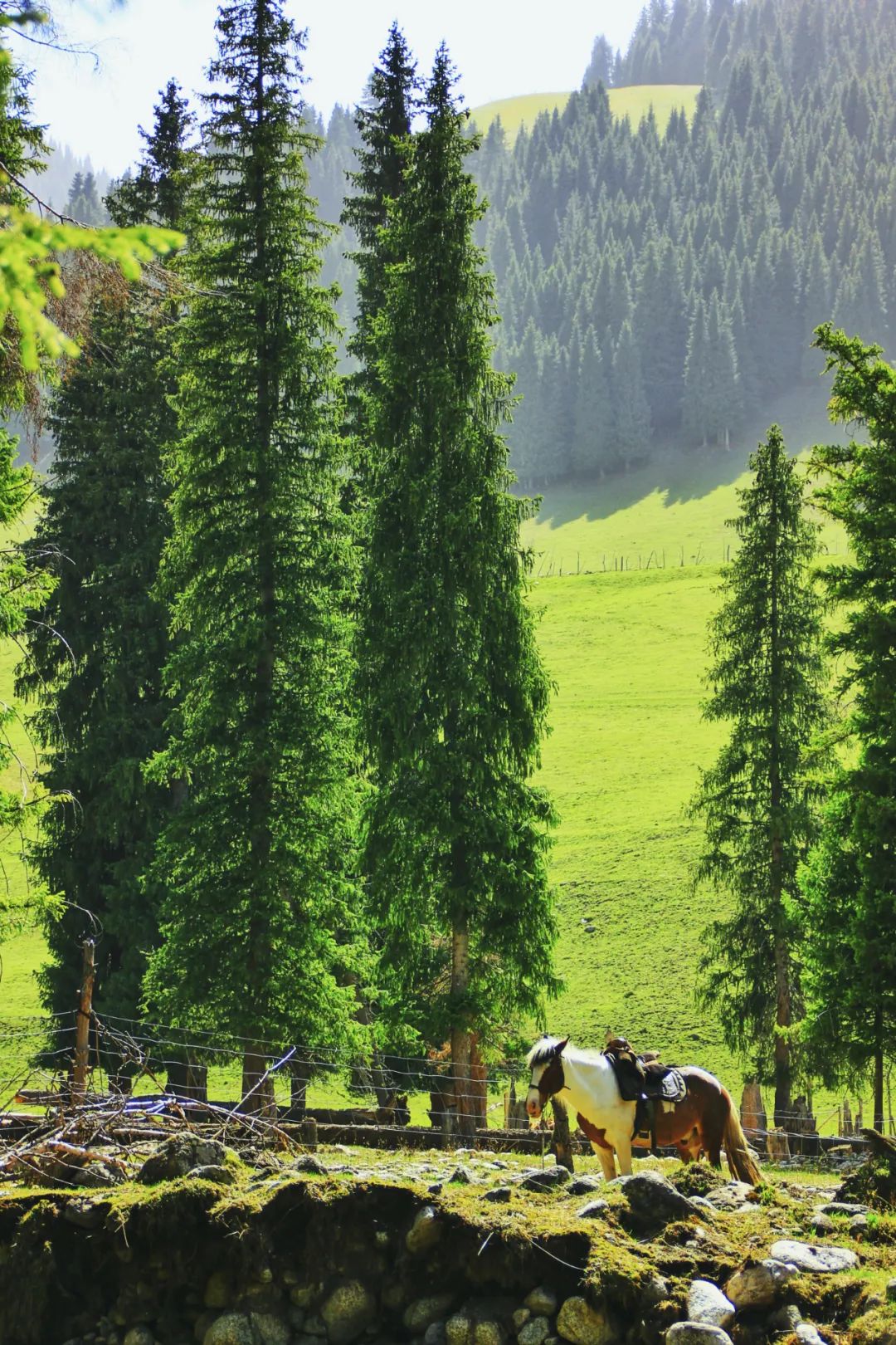 乌孙古道一路全景,行走天堂的乌孙古道