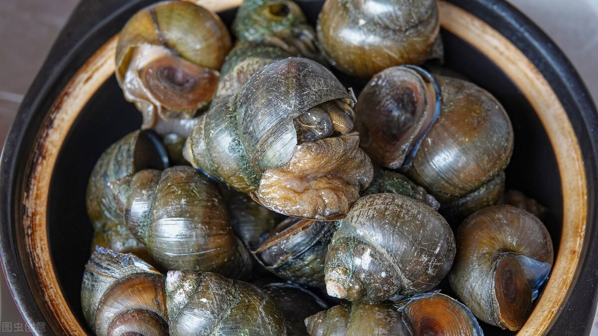 母亲节潮汕语录,潮汕母亲节母子对话