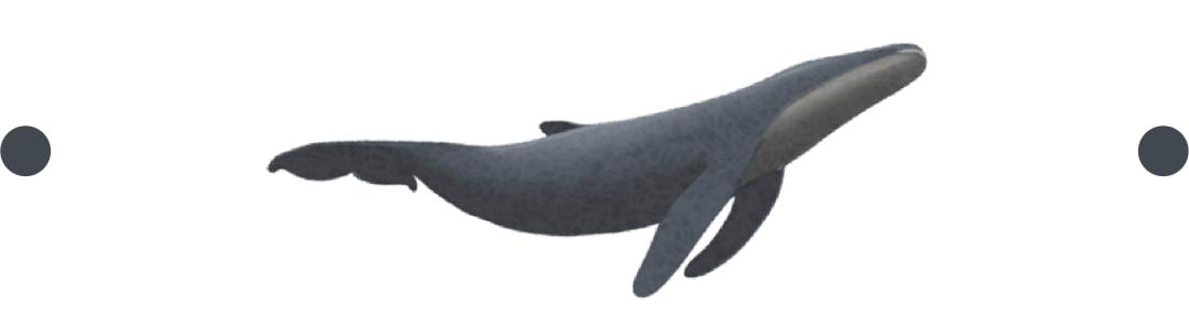 在韩国出生的山东大姨，从美国回来寻根