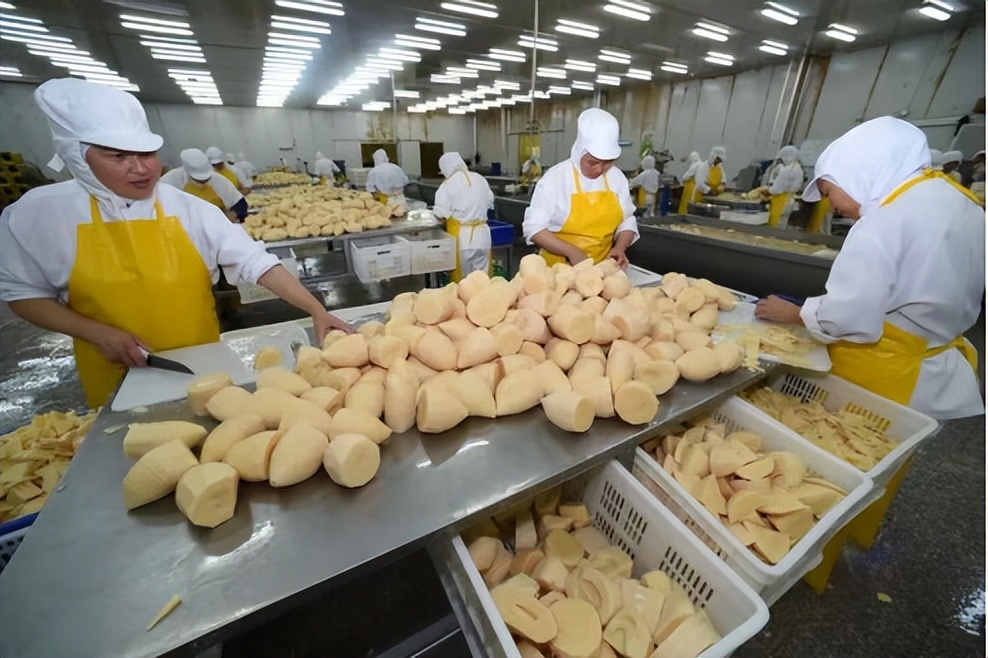 中国竹业｜看一根“小竹子”如何撬动千亿“大产业”