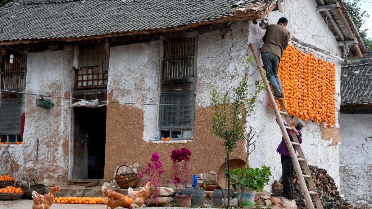 第九章重逢,第九章回归分析