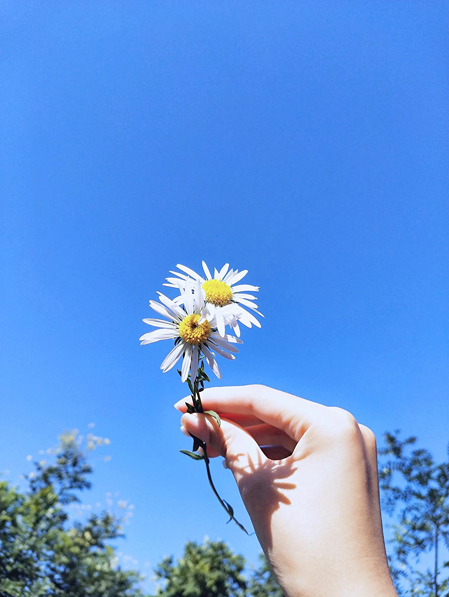 女人是过59岁还是过60岁,中年女性过年