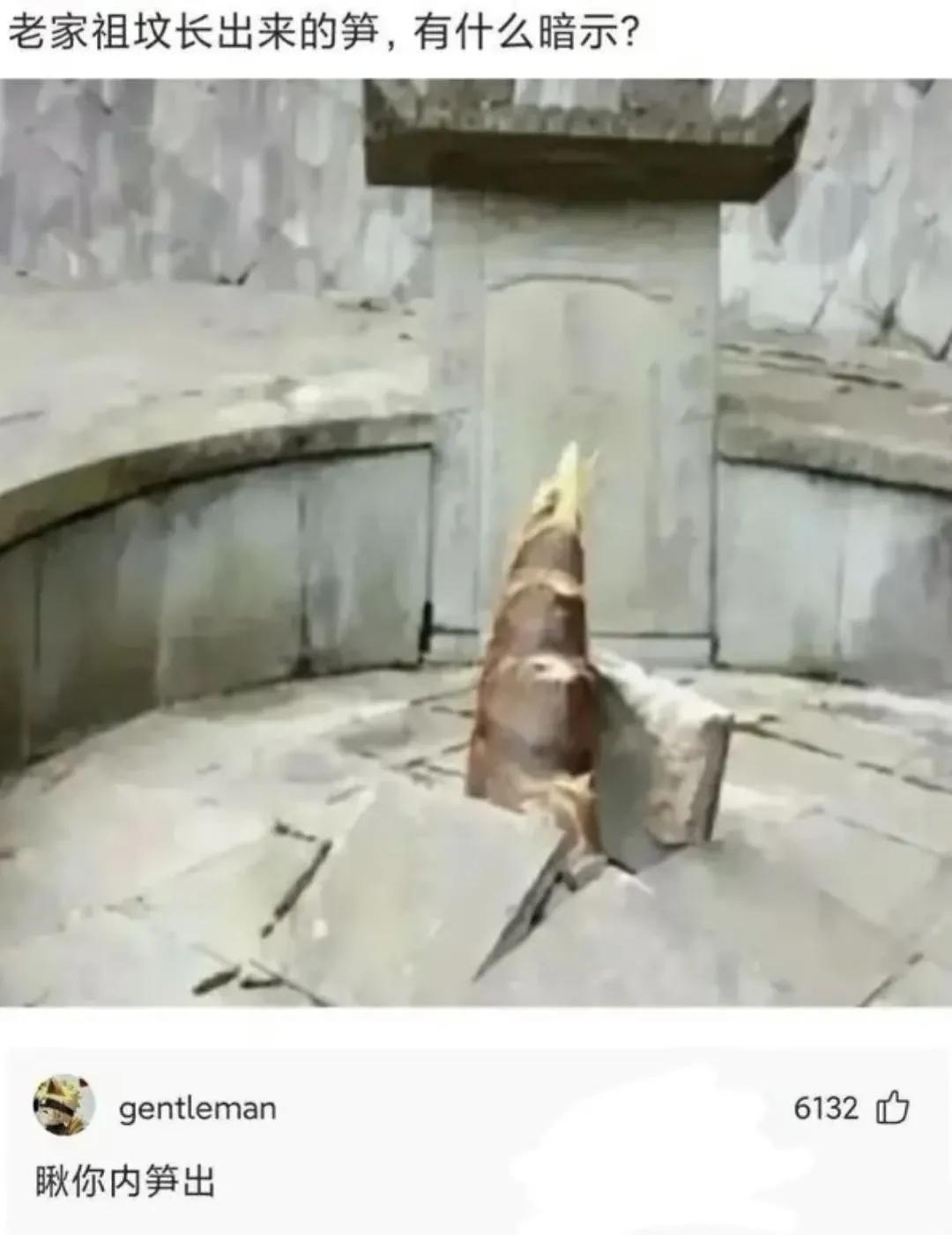 搞笑沙雕搞笑小视频,沙雕搞笑放二踢脚的搞笑视频