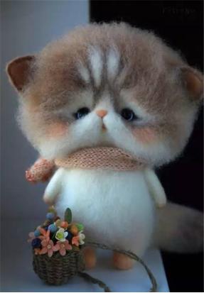 奇形怪状的羊毛毡,奇形怪状羊毛毡