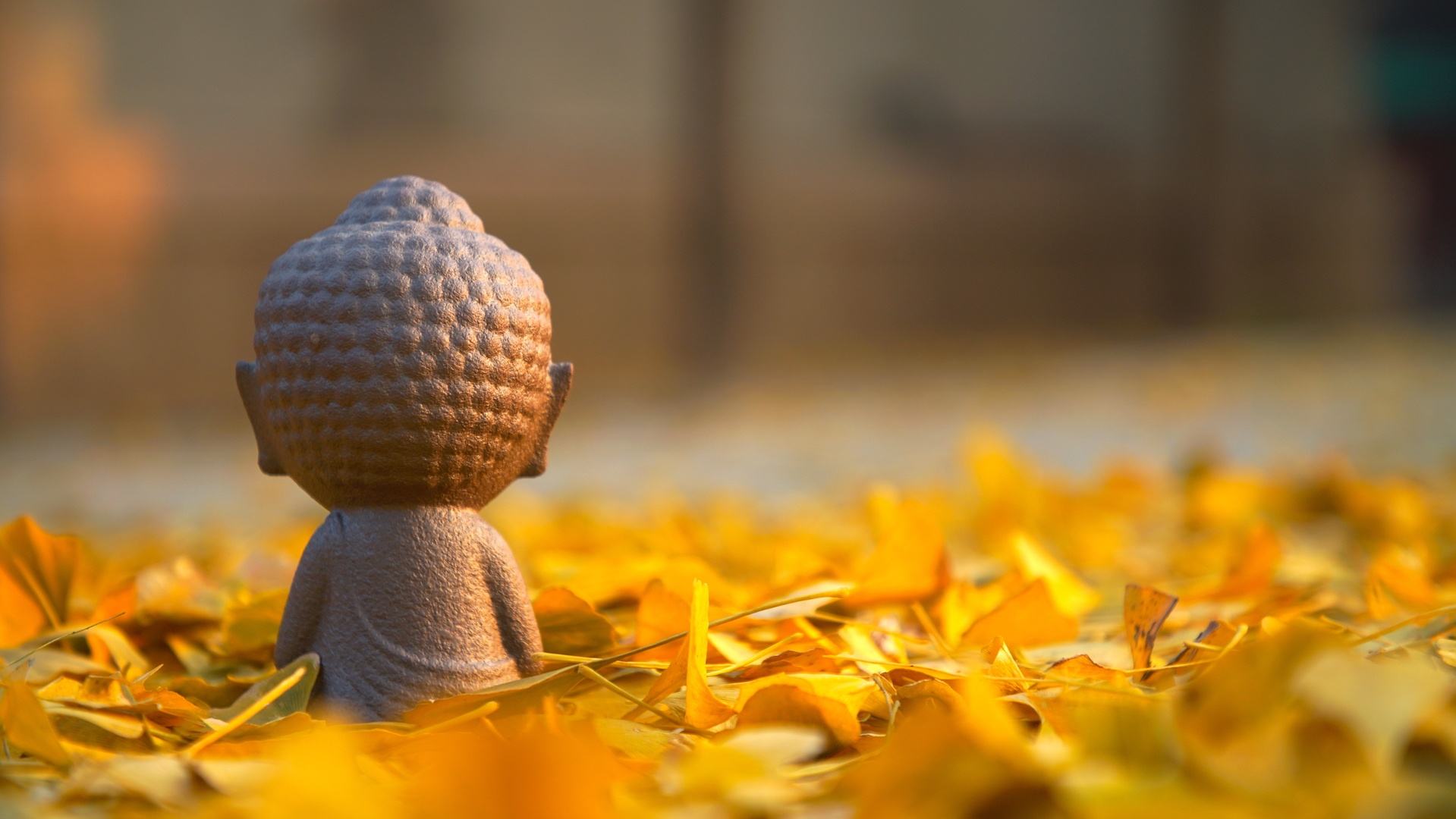 心经心咒去除心魔,心经世间万法皆为心所造