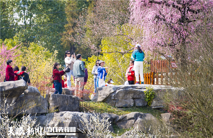 湄潭县美丽乡村建设标准化,湄潭美丽乡村
