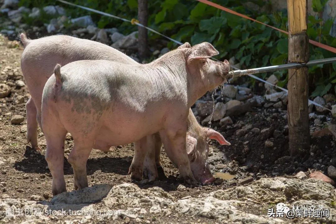 赵长生完整版免费阅读,赵长生短视频
