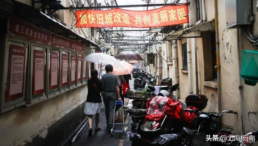 在人民城市上海，读懂二十大报告中出现100多次的这个词