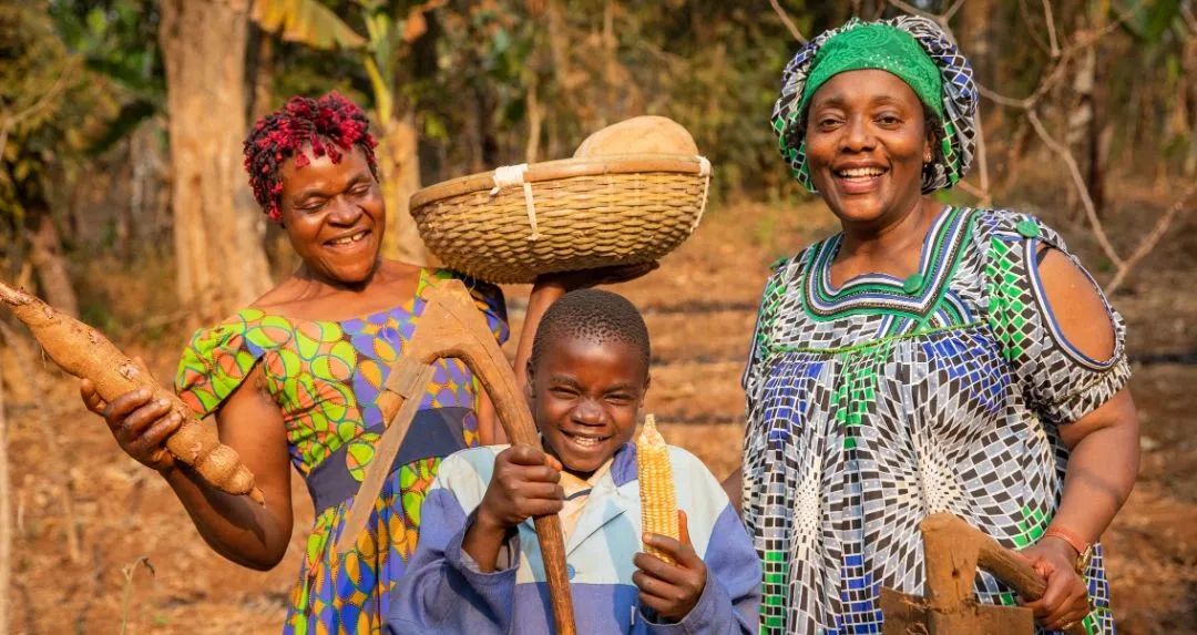 30分钟办好家庭津贴档案，数字化提高喀麦隆社保服务质量