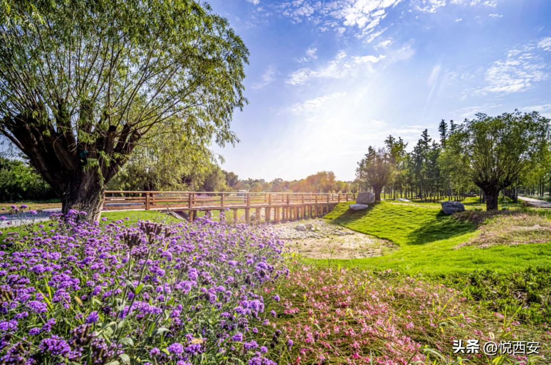 西安公园2020年开放时间,西安遗址公园有哪些