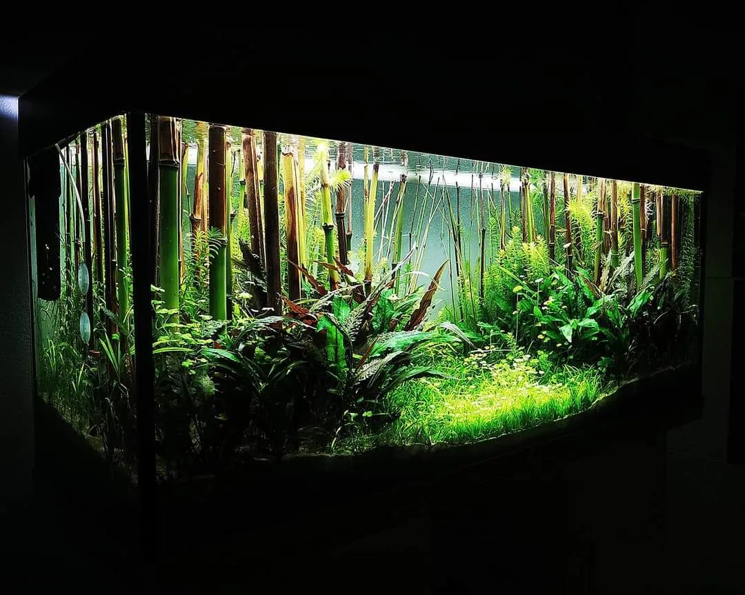 水族箱上过滤系统滤材摆放,水族箱改装过滤系统