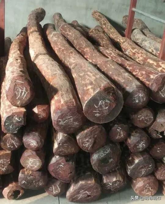 在印度买小叶紫檀原木,印度小叶紫檀手串怎么分级