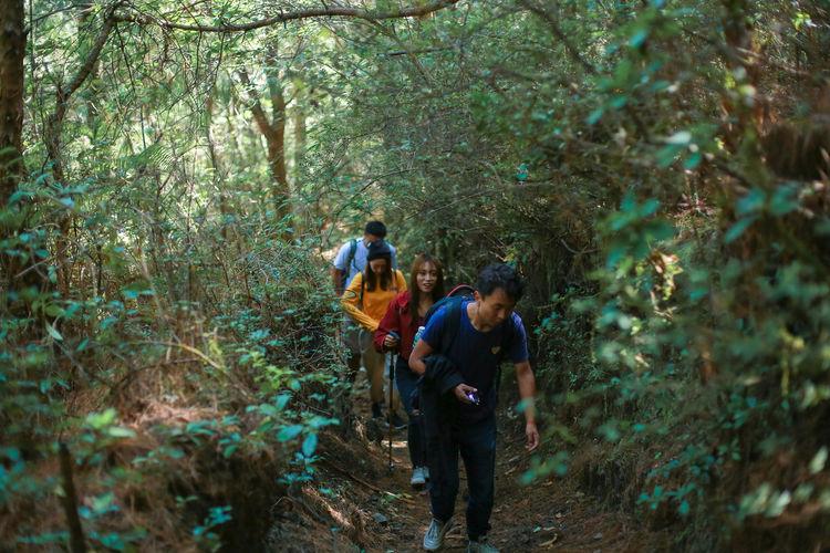 大理苍山洱海旅游攻略一日游,大理苍山洱海游玩攻略最佳路线图