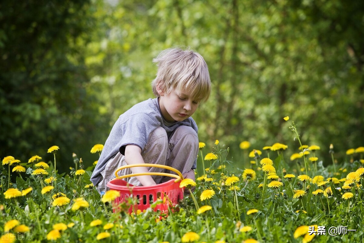 裸猿《道德篇》——自然•人类•科学(作者:詹克明)