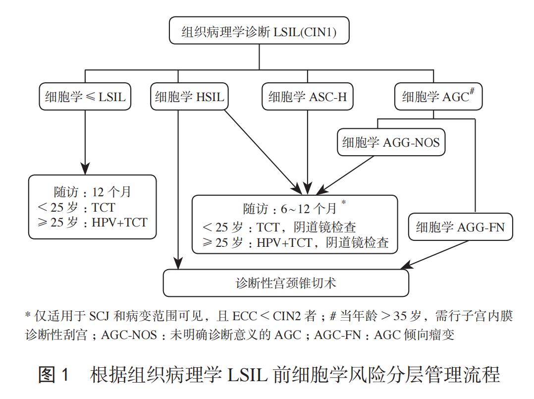 派特灵生物科普｜子宫颈低级别鳞状上皮内病变管理的中国专家共识