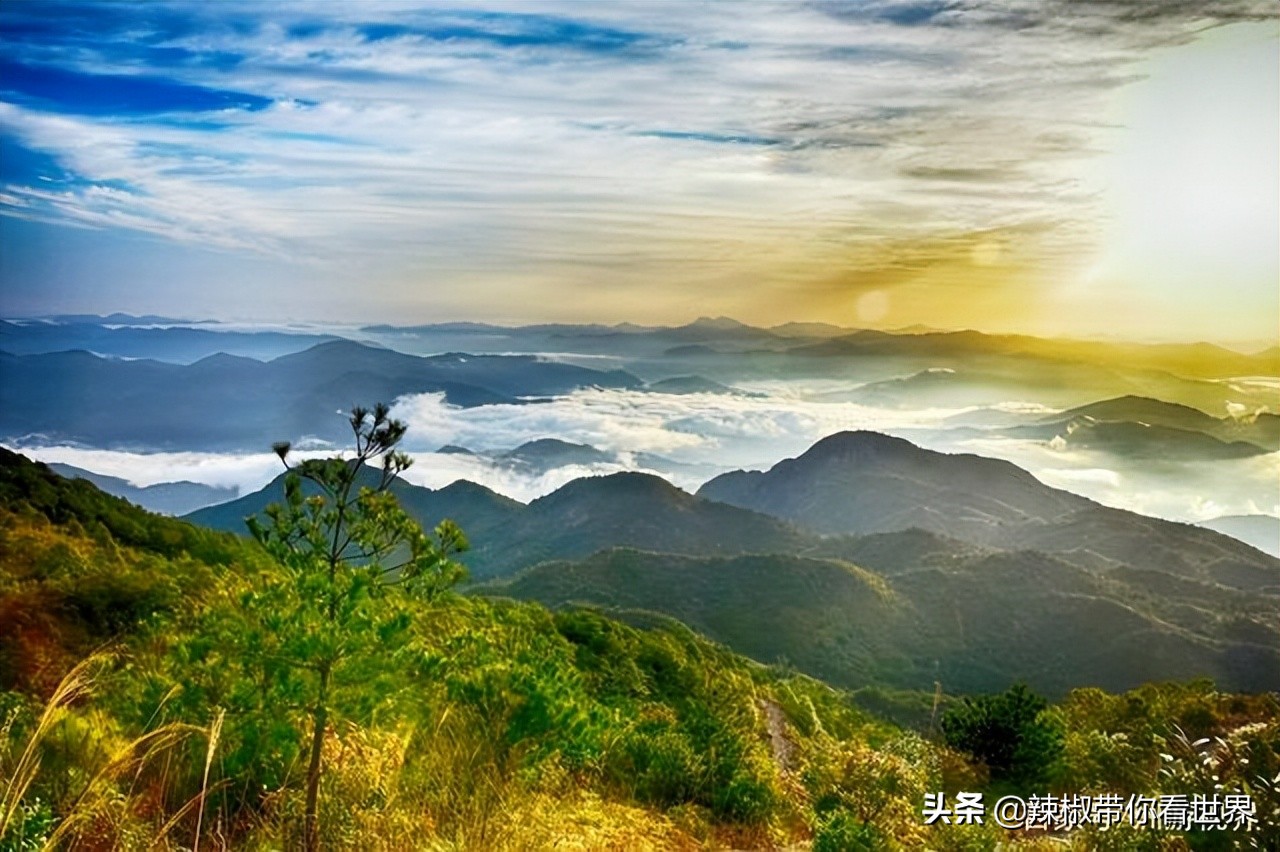 宁德大黄鱼之乡攻略,霞浦大黄鱼之乡图片