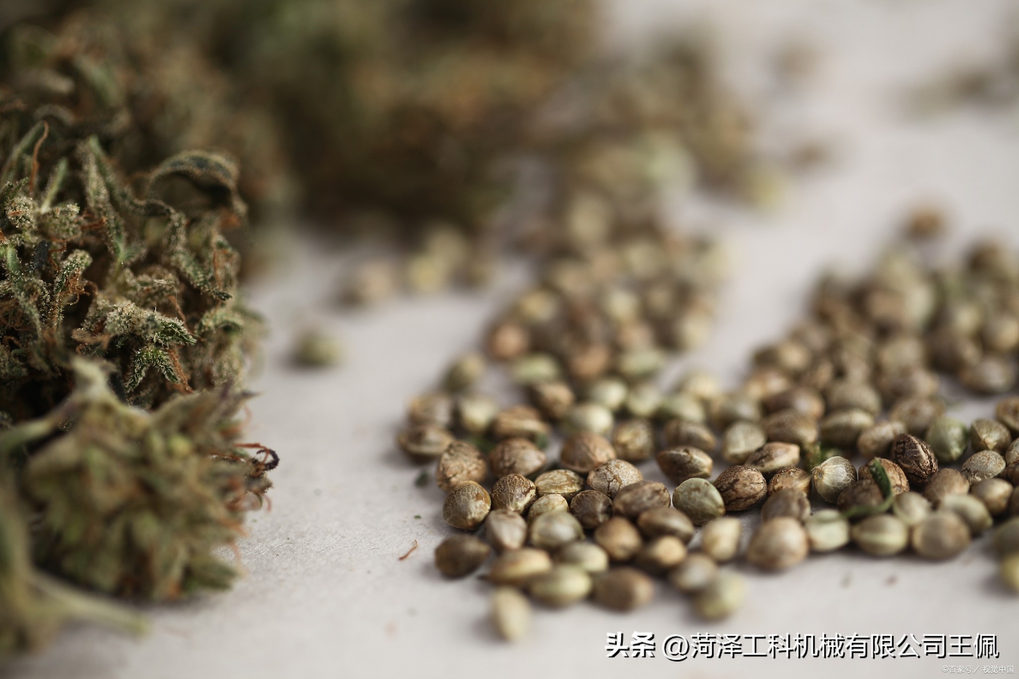 汉麻籽脱壳机,火麻籽手工脱壳