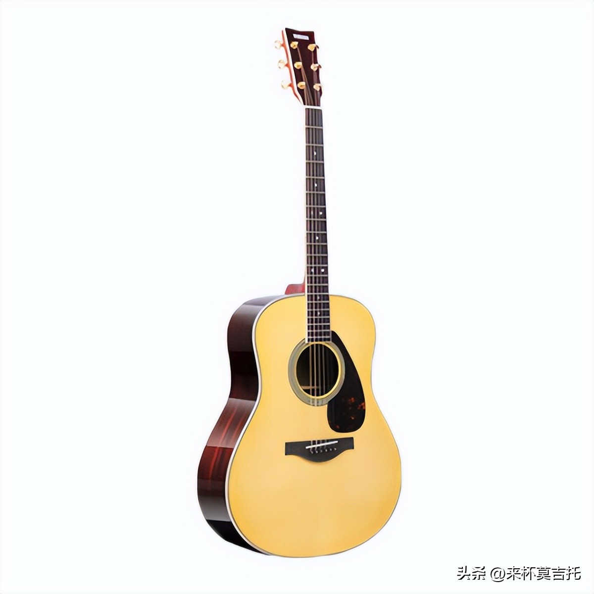 初学者吉他品牌推荐性价比高,推荐的十款初学者电子吉他