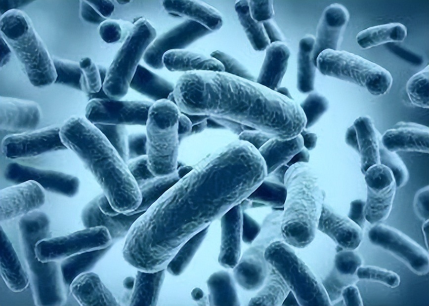 被误解的女性:*处私**黑,是因为“*生活性**”太多了?要理性看待