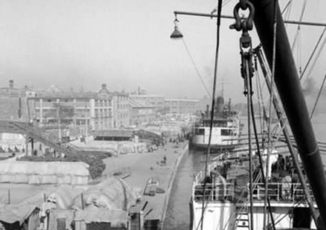 荷兰姑娘米拉,荷兰姑娘米拉和杨宝禄的爱情故事