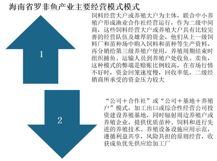 罗非鱼市场行情报告,2024年罗非鱼行情走势