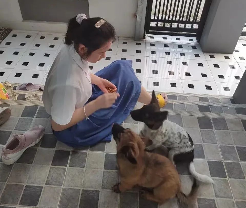 中国妈妈在泰国鸡娃:攒百万教育基金,想佛系却给孩子天天补习