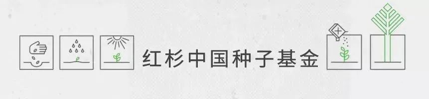 红杉手机壁纸,红杉壁纸4k超清全面屏