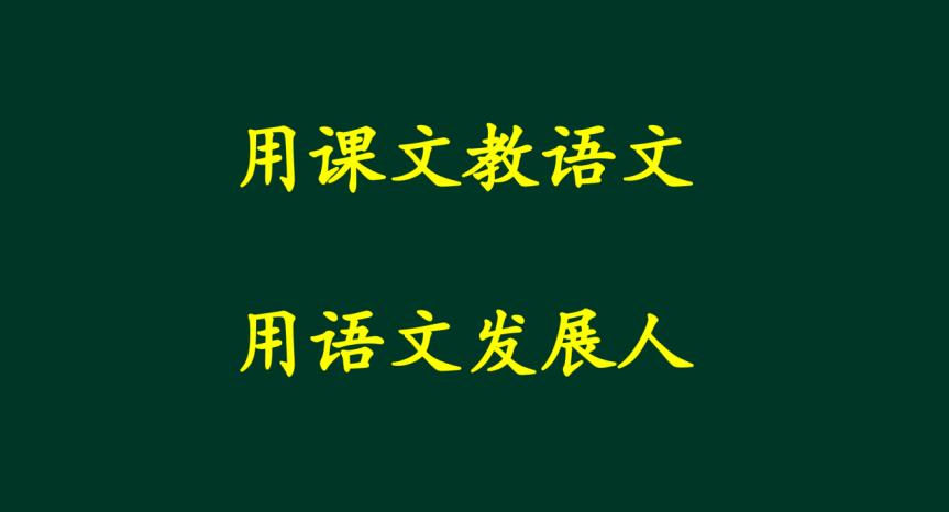 特级教师薛法根语文公开课,薛法根用课文教语文听课心得