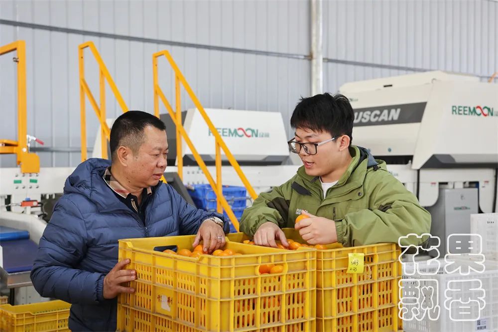 从0.6元到4元，优质优价能否引领农民种好果？