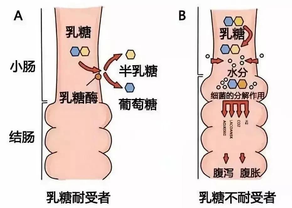 婴儿必买的用品清单,婴儿常用好物品推荐