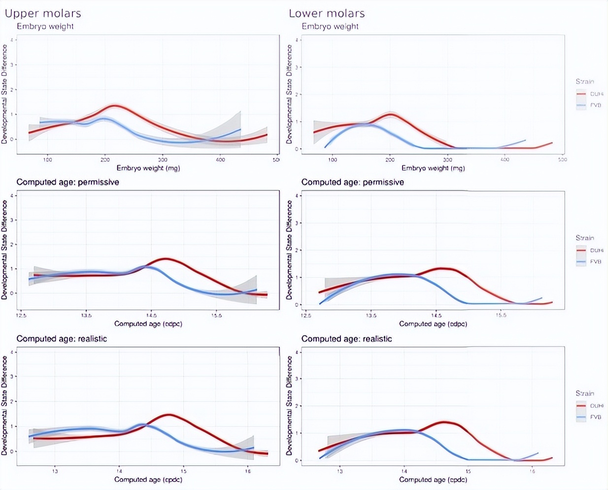 基于小鼠磨牙进化演变，研究其发育变异性通道的进化过程