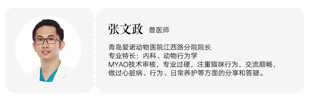 猫每天梳毛用什么梳子,哪种梳子给猫梳毛好用