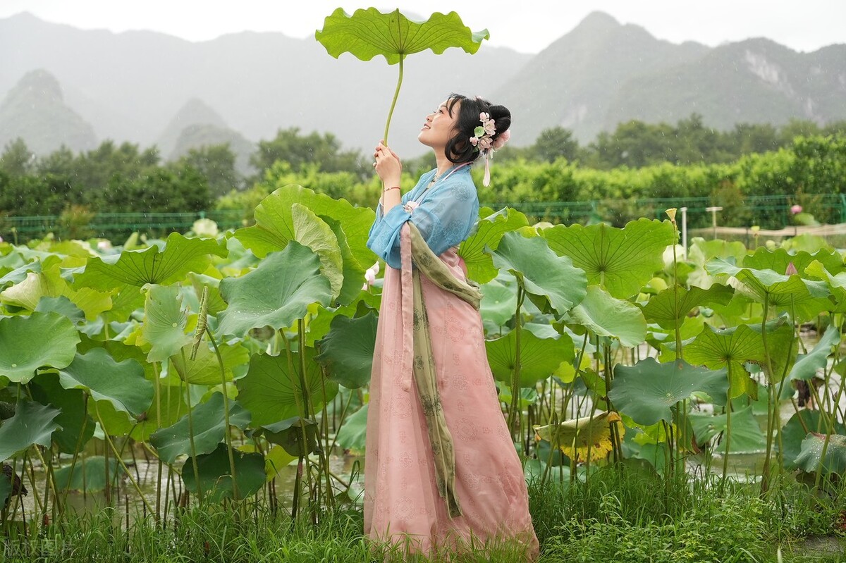 古诗词中荷花的意象思乡,荷花在古诗中表达的情感