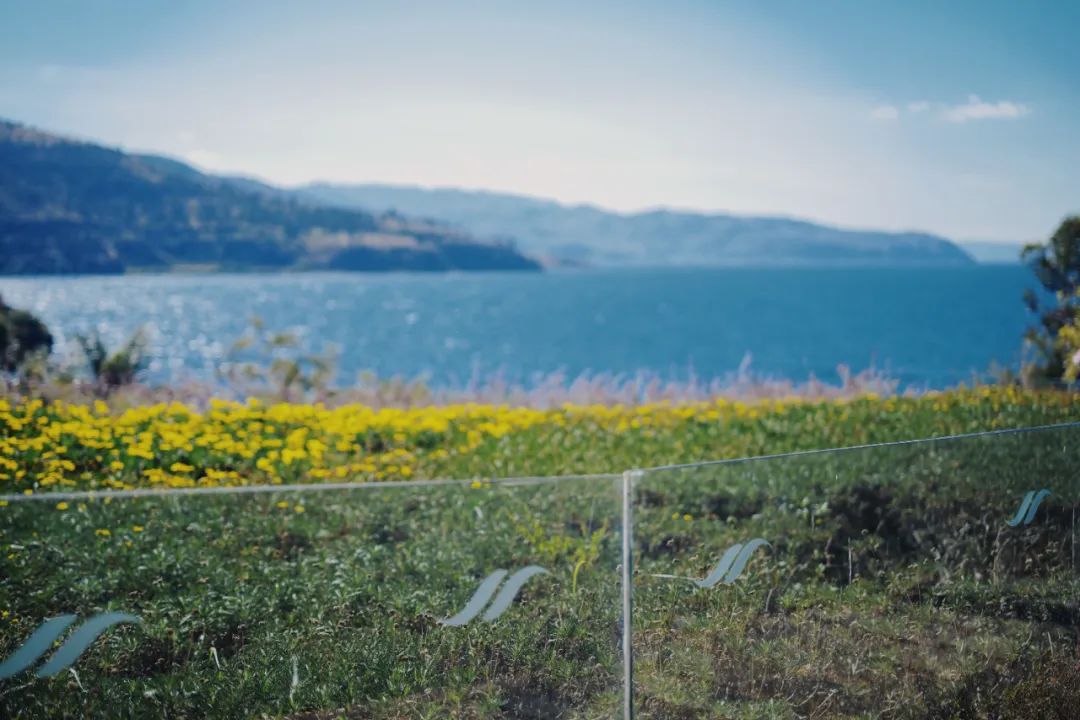 公司的旅游团建必须去吗,旅游团建机构有哪些好的