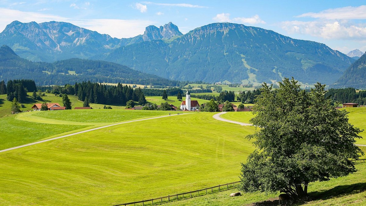 农作物发展的现状及变化,俄罗斯农业发展状况及主要农作物