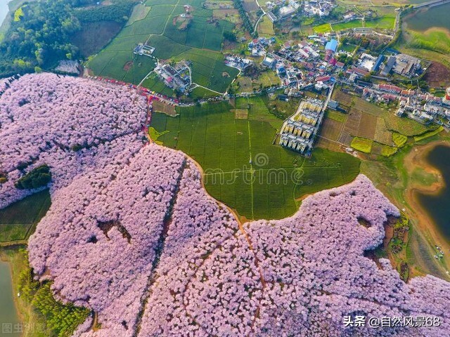 多彩贵州黄果树瀑布绘画作品,多彩贵州黄果树瀑布视频